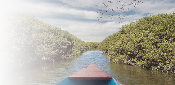 Proposal seeks to amend environmental law